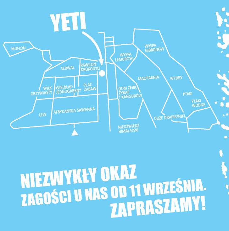 Szkoda, że to …?